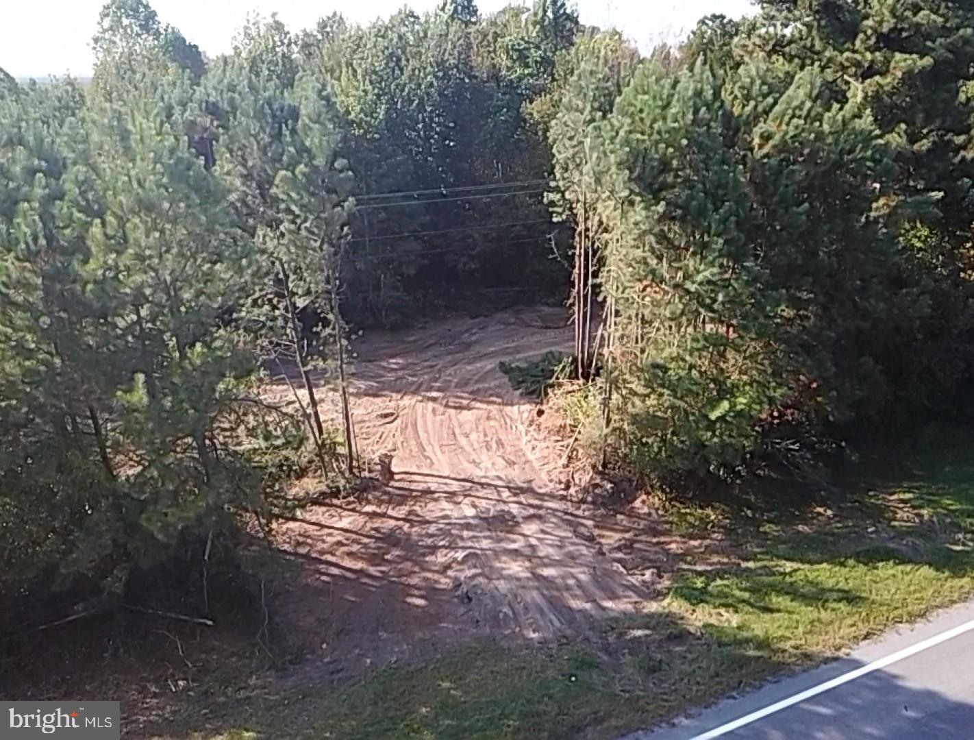 46 Christanna Hwy #10.87 Acres Property Photo 20