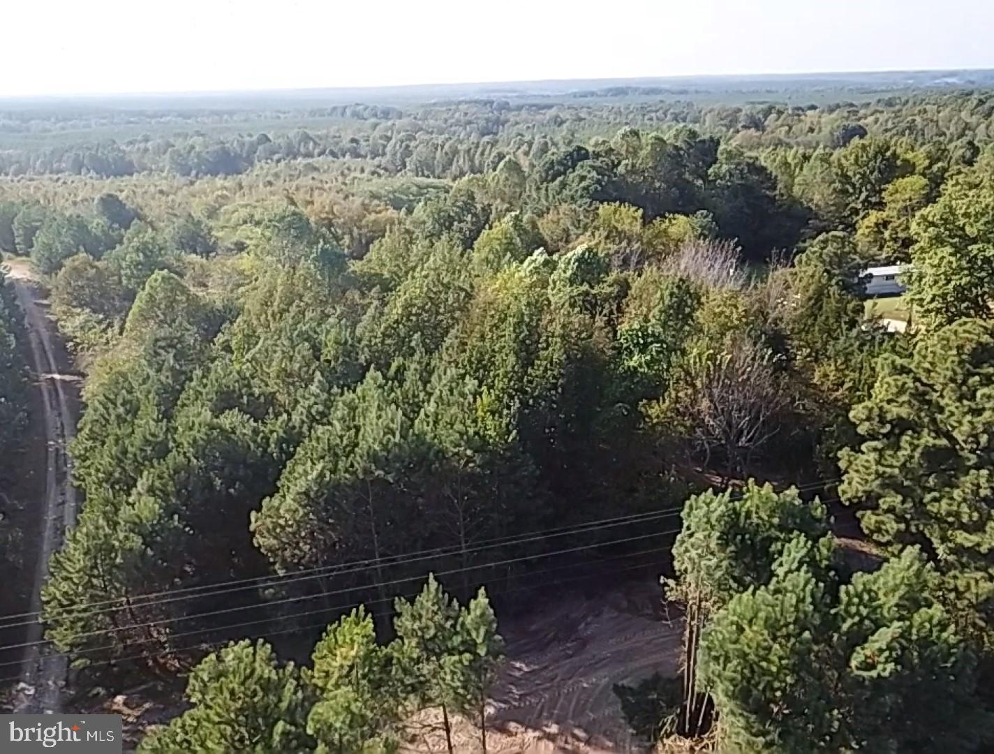 46 Christanna Hwy #10.87 Acres Property Photo 21