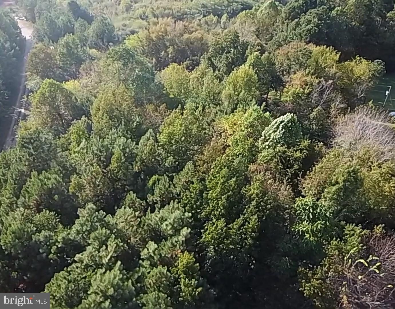 46 Christanna Hwy #10.87 Acres Property Photo 22