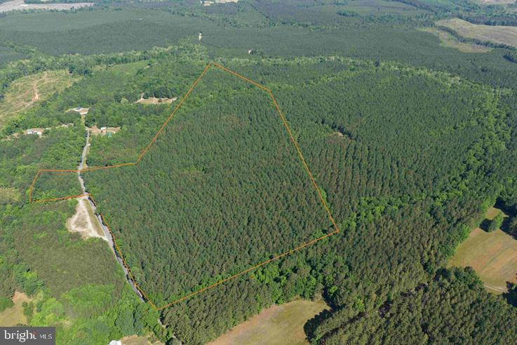 Brandy Creek Road (tract: The Family Tree) Property Photo 3