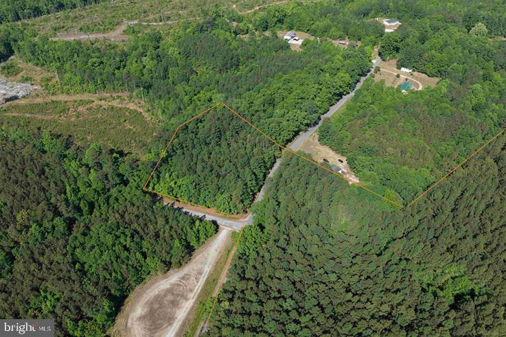 Brandy Creek Road (tract: The Family Tree) Property Photo 4