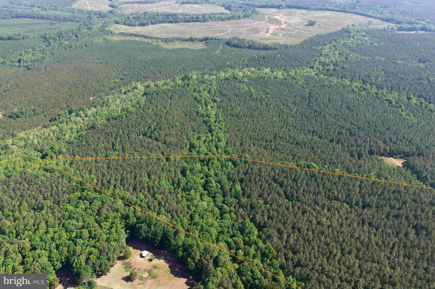Brandy Creek Road (tract: The Family Tree) Property Photo 5