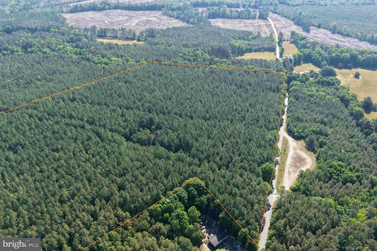 Brandy Creek Road (tract: The Family Tree) Property Photo 6