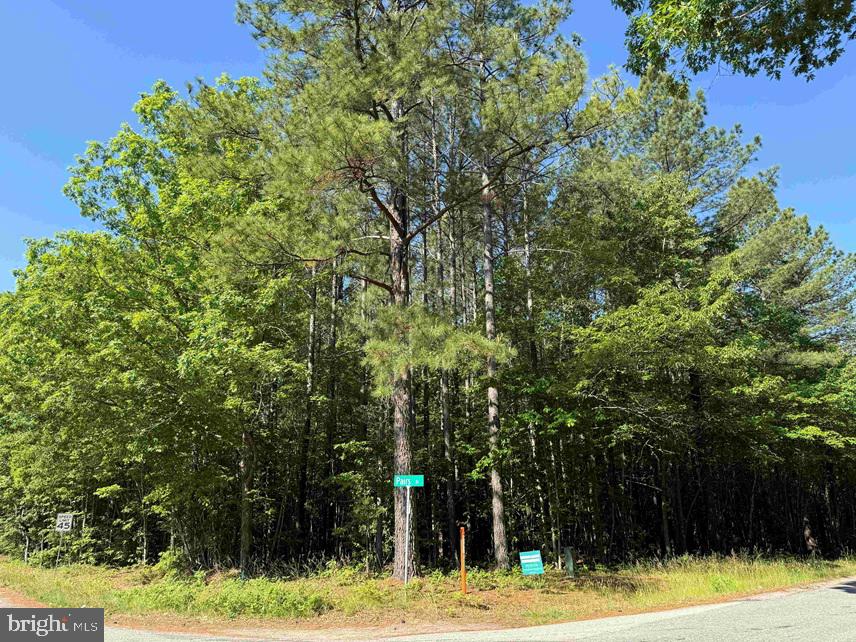 Brandy Creek Road (tract: The Family Tree) Property Photo 13