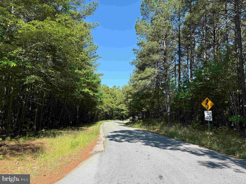 Brandy Creek Road (tract: The Family Tree) Property Photo 14