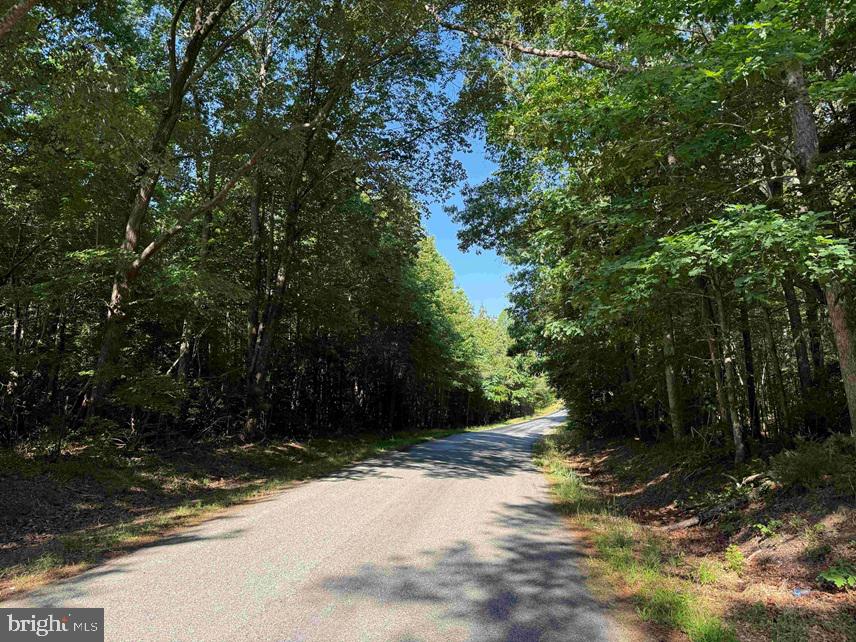 Brandy Creek Road (tract: The Family Tree) Property Photo 15