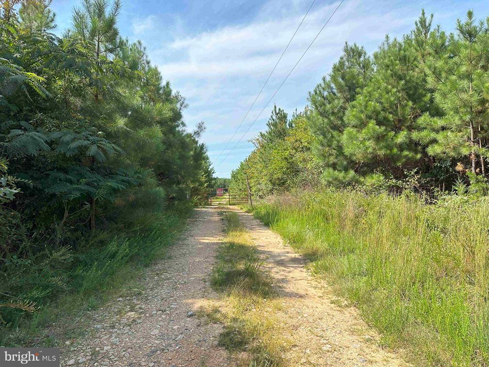 Cumberland Road (st. Rt. 45) (tract Guinea Mills) Property Photo 1