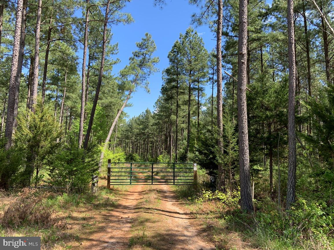 Hunters Road (rt. 736) (bk1442-1 Tract) Property Photo 1