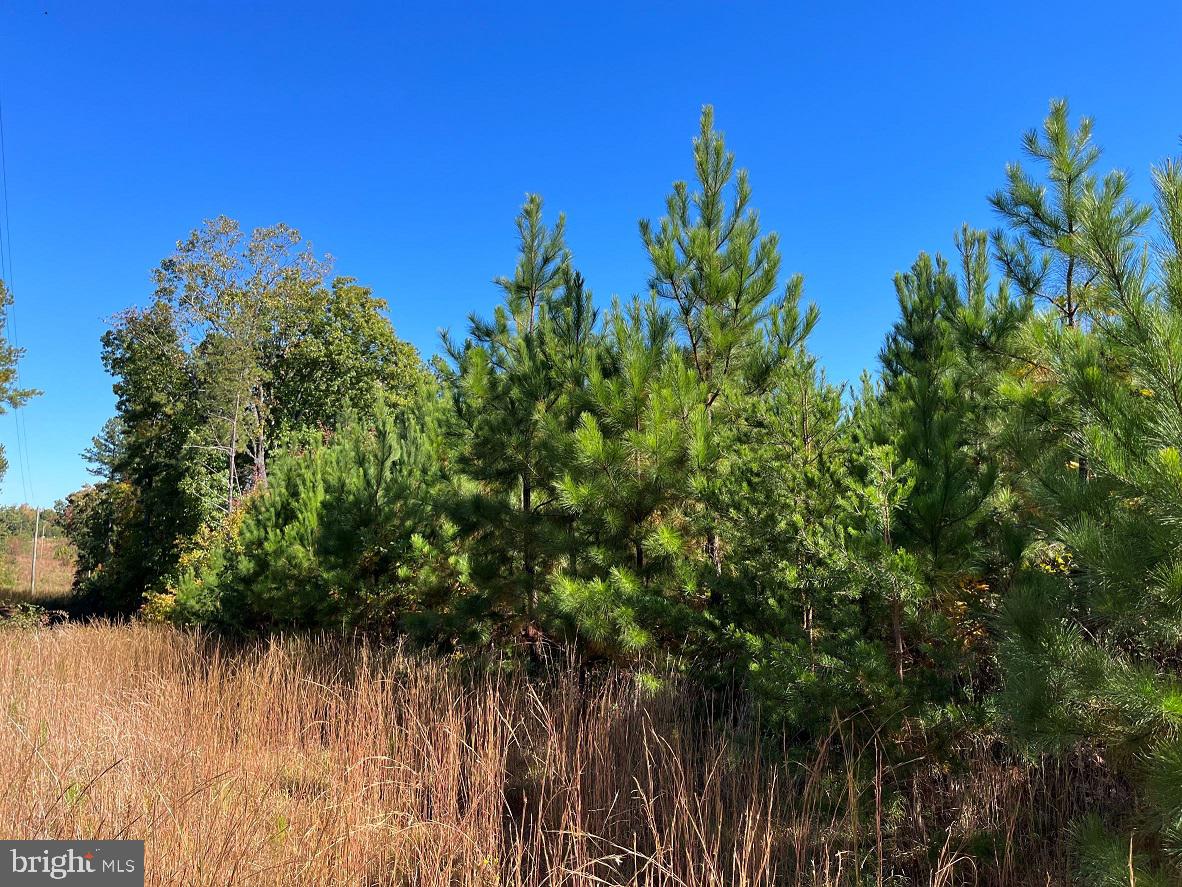 Floralee Road (route 621) (tract Turnip Creek-4) Property Photo 1