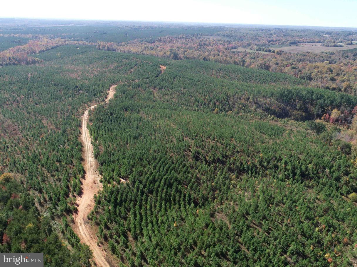Woodfork Road (rt. 650) (tract Rogers-1) Property Photo 1