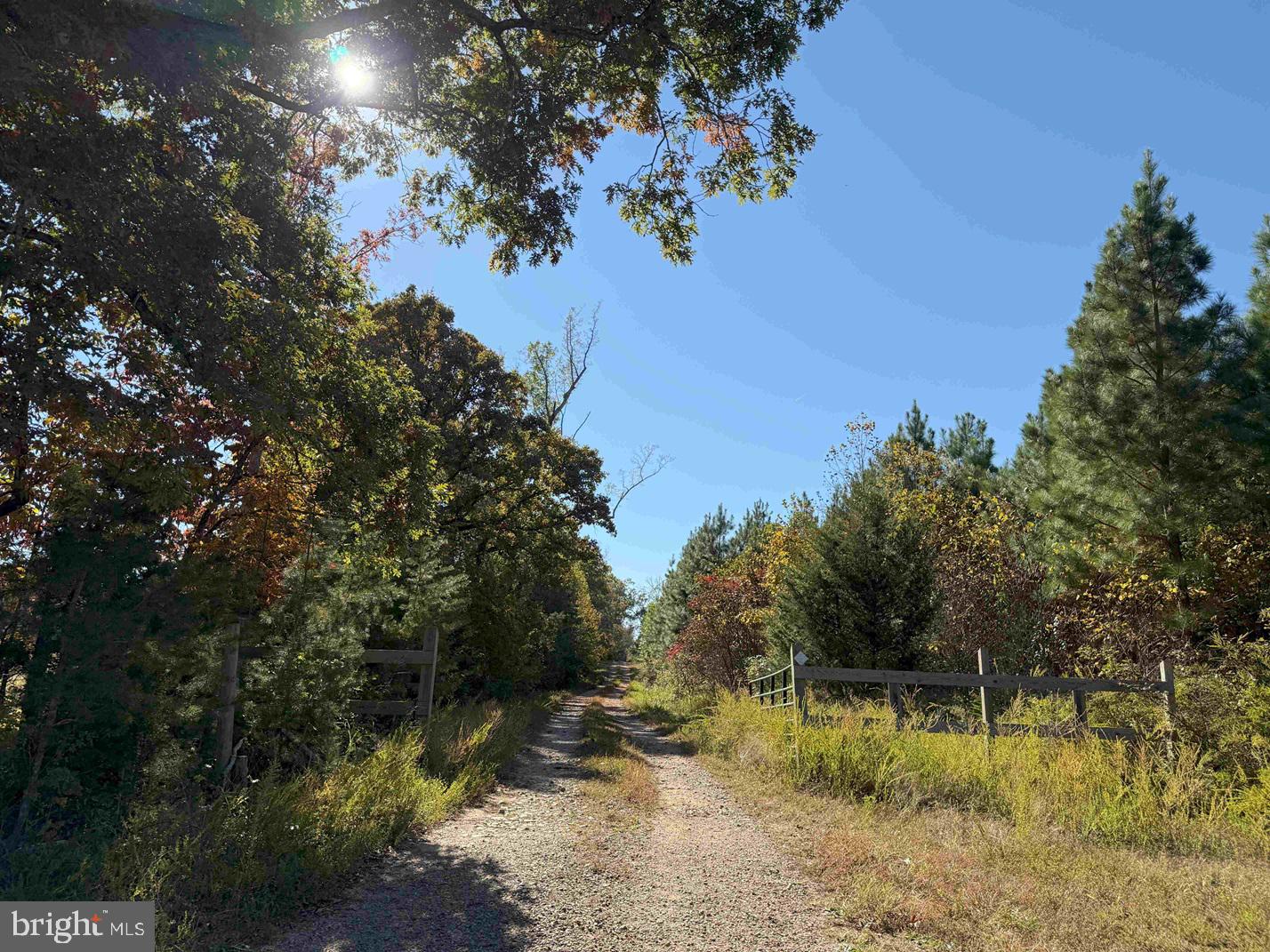 Woodfork Road (rt. 650) (tract Rogers-2) Property Photo 1