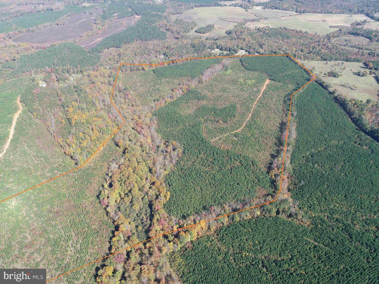Woodford Road (rt. 650) (tract Rogers-2) Property Photo 3