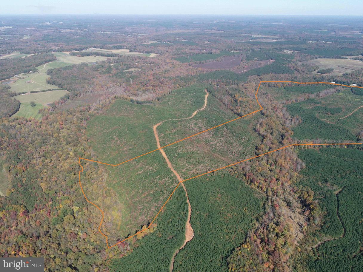 Woodford Road (rt. 650) (tract Rogers-2) Property Photo 4