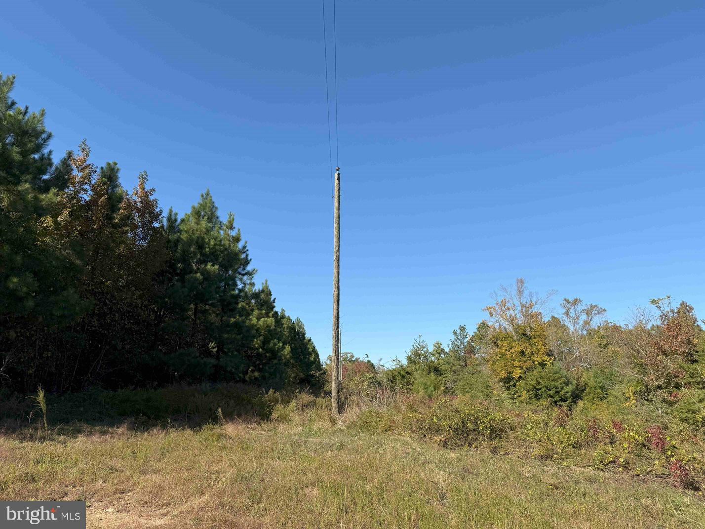 Woodford Road (rt. 650) (tract Rogers-2) Property Photo 5