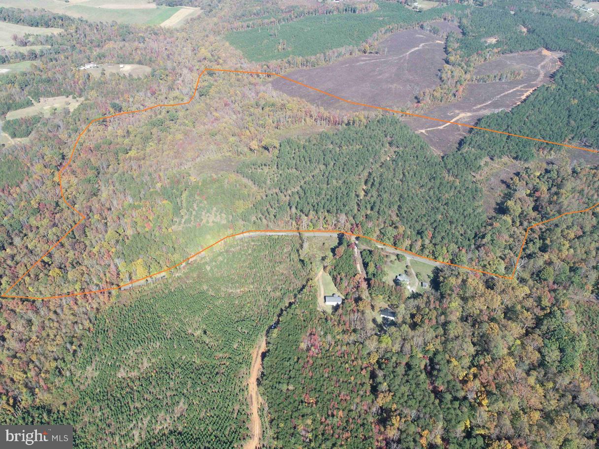 Woodfork Road (rt. 650) (tract Rogers-4) Property Photo 3