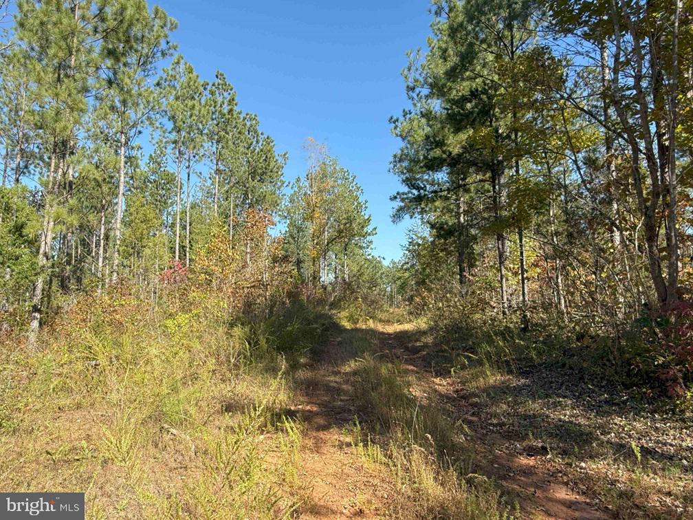 Woodfork Road (rt. 650) (tract Rogers-4) Property Photo 5