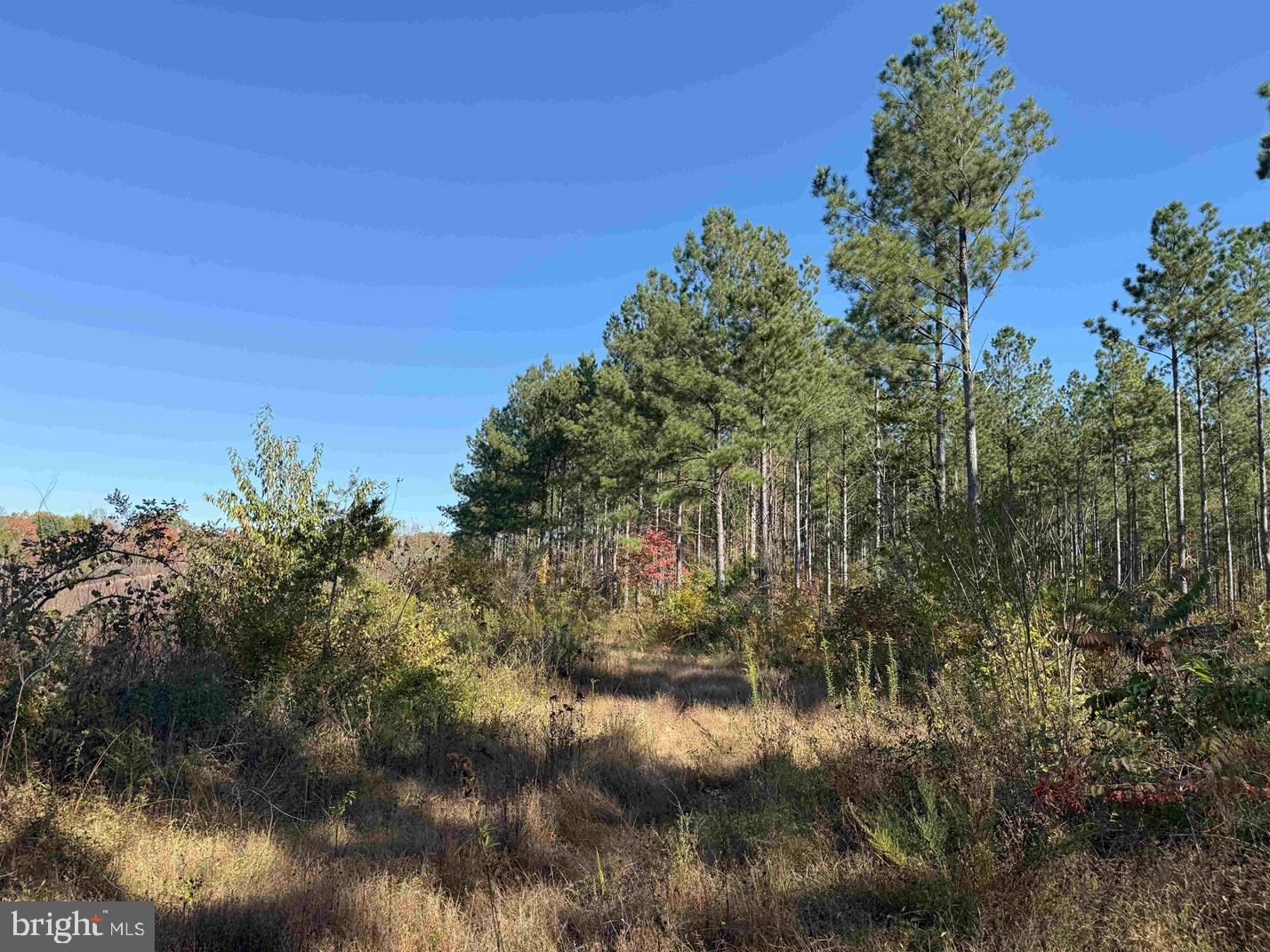 Woodfork Road (rt. 650) (tract Rogers-4) Property Photo 10