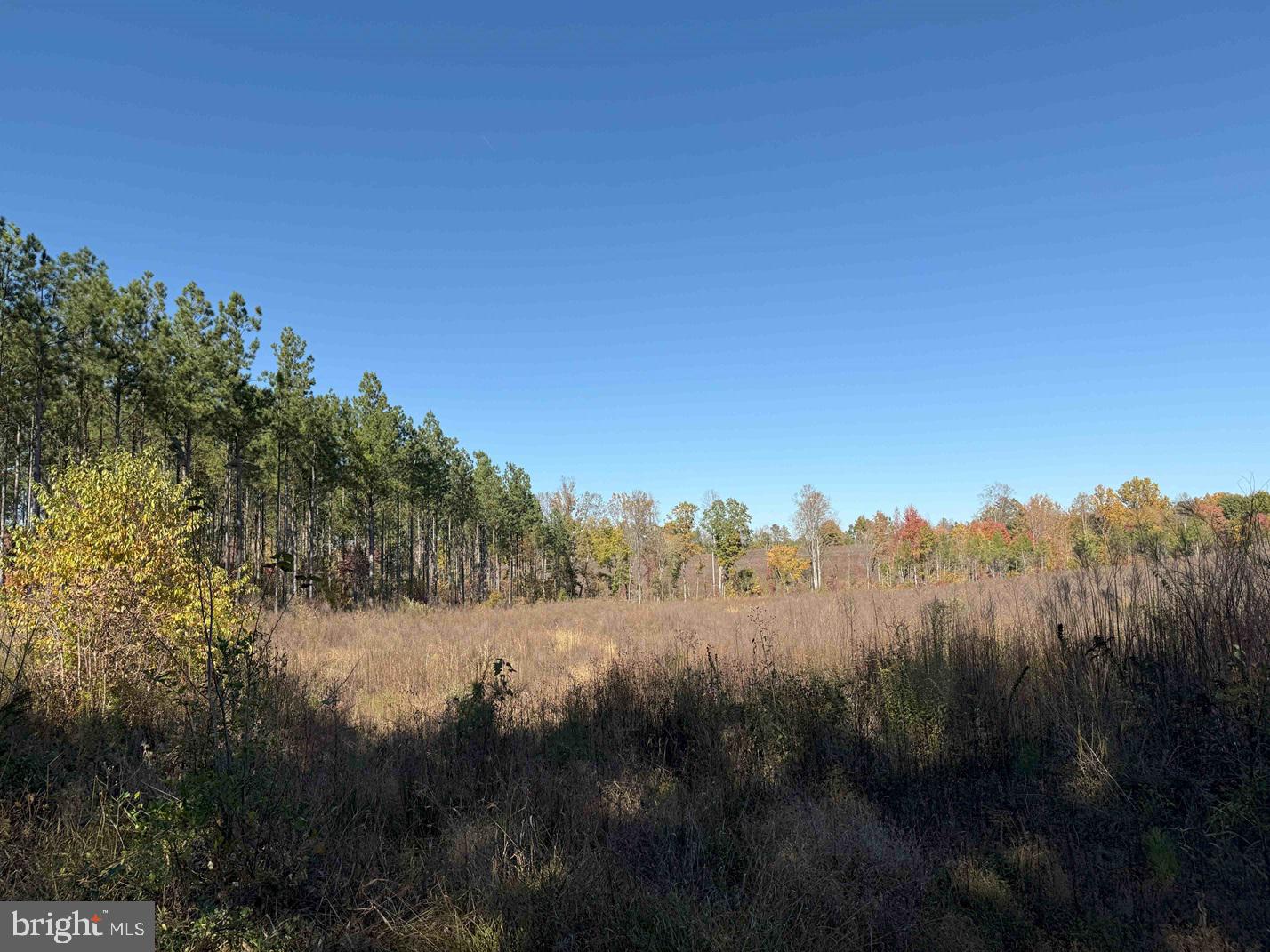 Woodfork Road (rt. 650) (tract Rogers-4) Property Photo 11