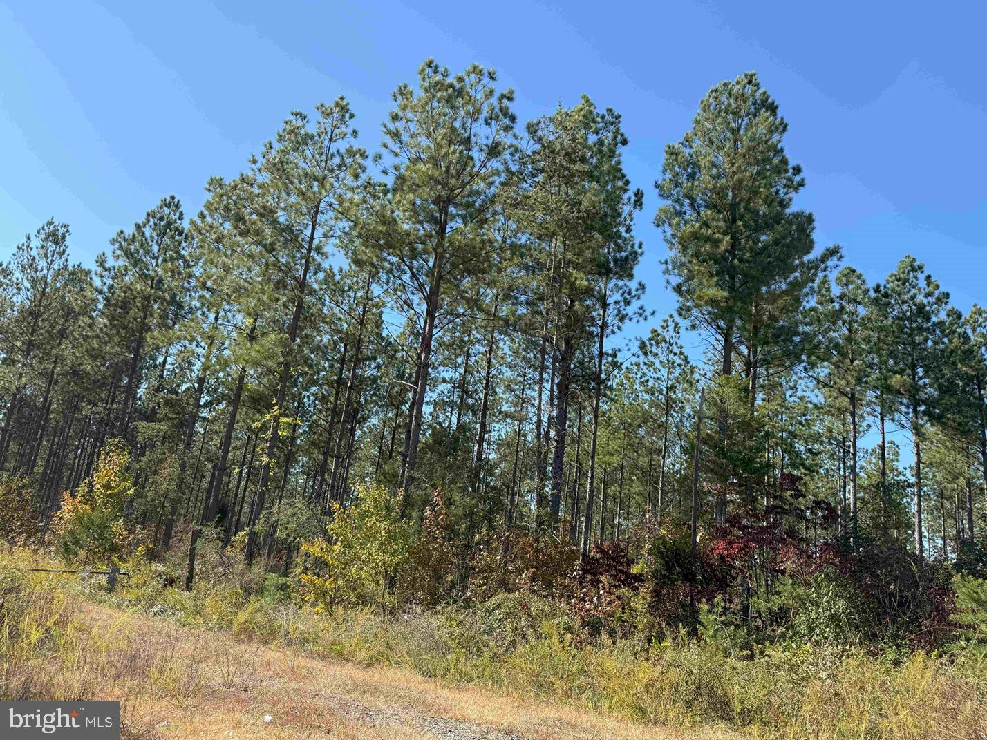 STATE RT. 47 (THOMAS JEFFERSON HWY) (TRACT ROGERS)