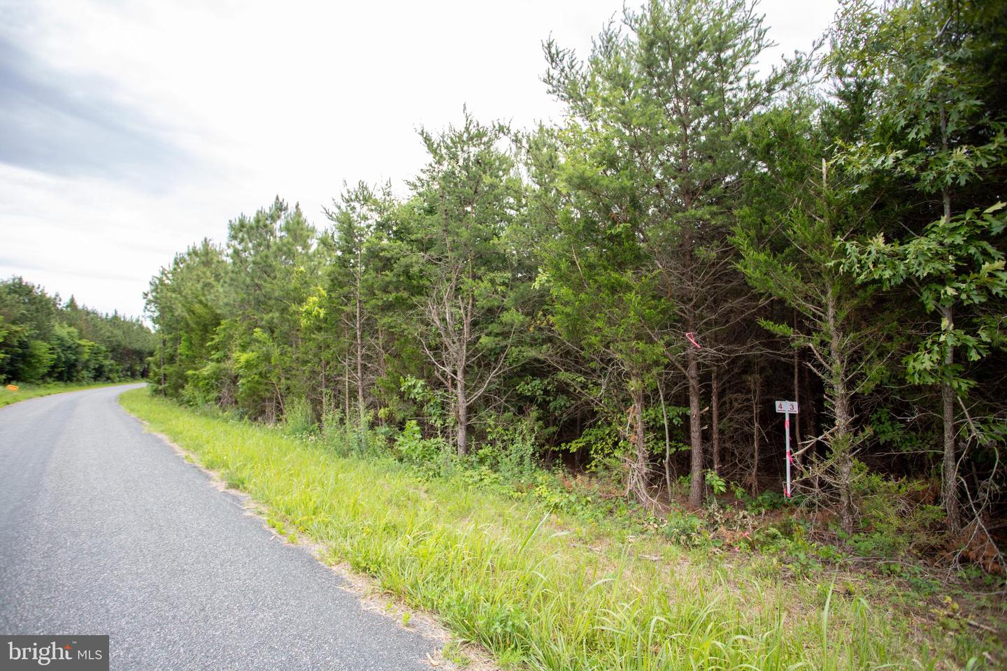 TBD TRENTS CEMETERY ROAD #LOT 6