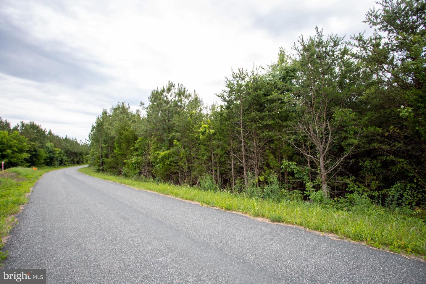 Tbd Trents Cemetery Road #lot 6 Property Photo 2