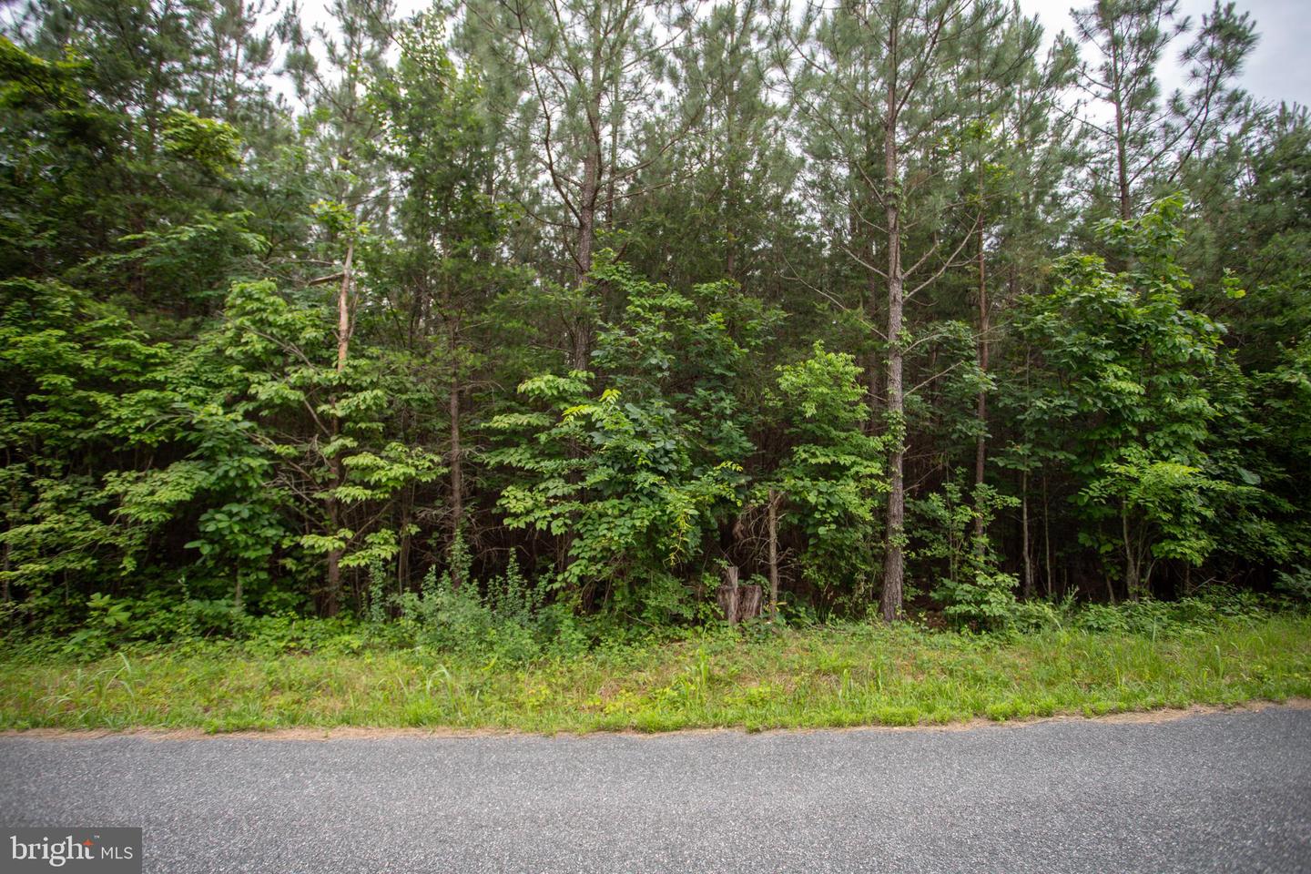 Tbd Trents Cemetery Road #lot 6 Property Photo 4