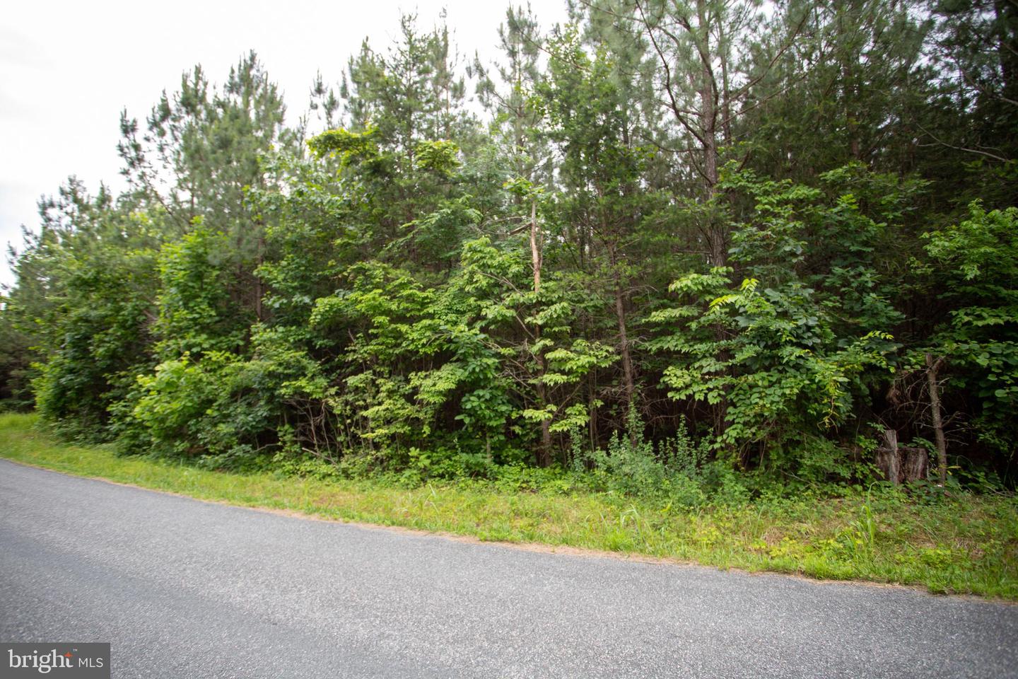 Tbd Trents Cemetery Road #lot 6 Property Photo 5