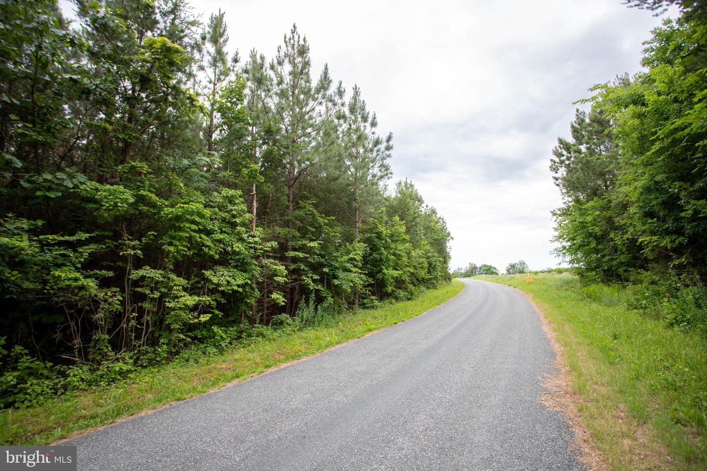Tbd Trents Cemetery Road #lot 6 Property Photo 6
