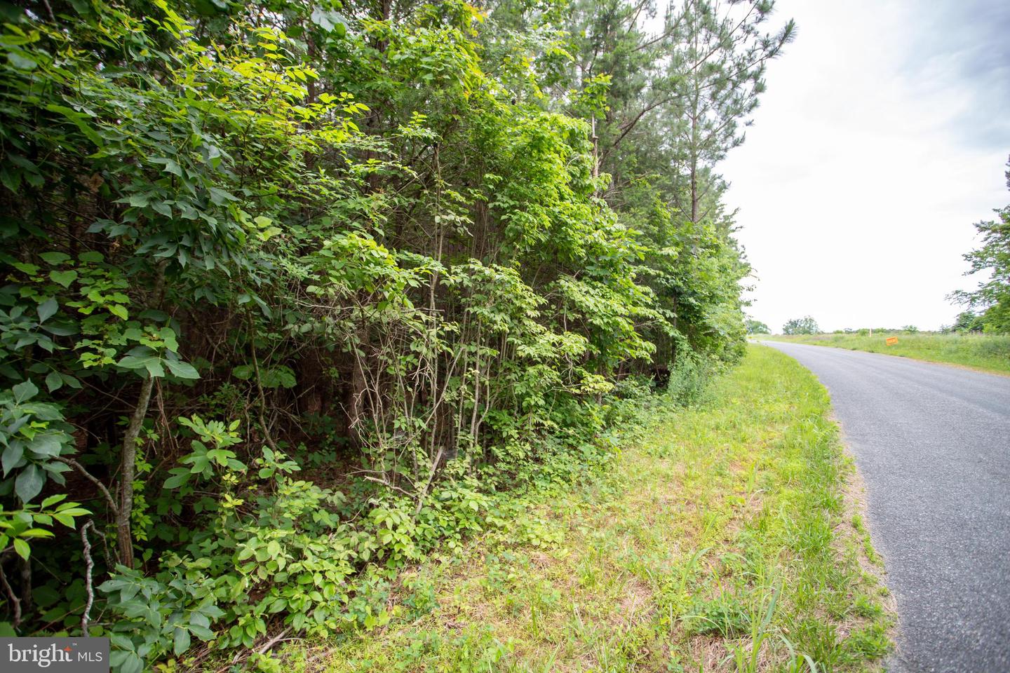 Tbd Trents Cemetery Road #lot 6 Property Photo 9