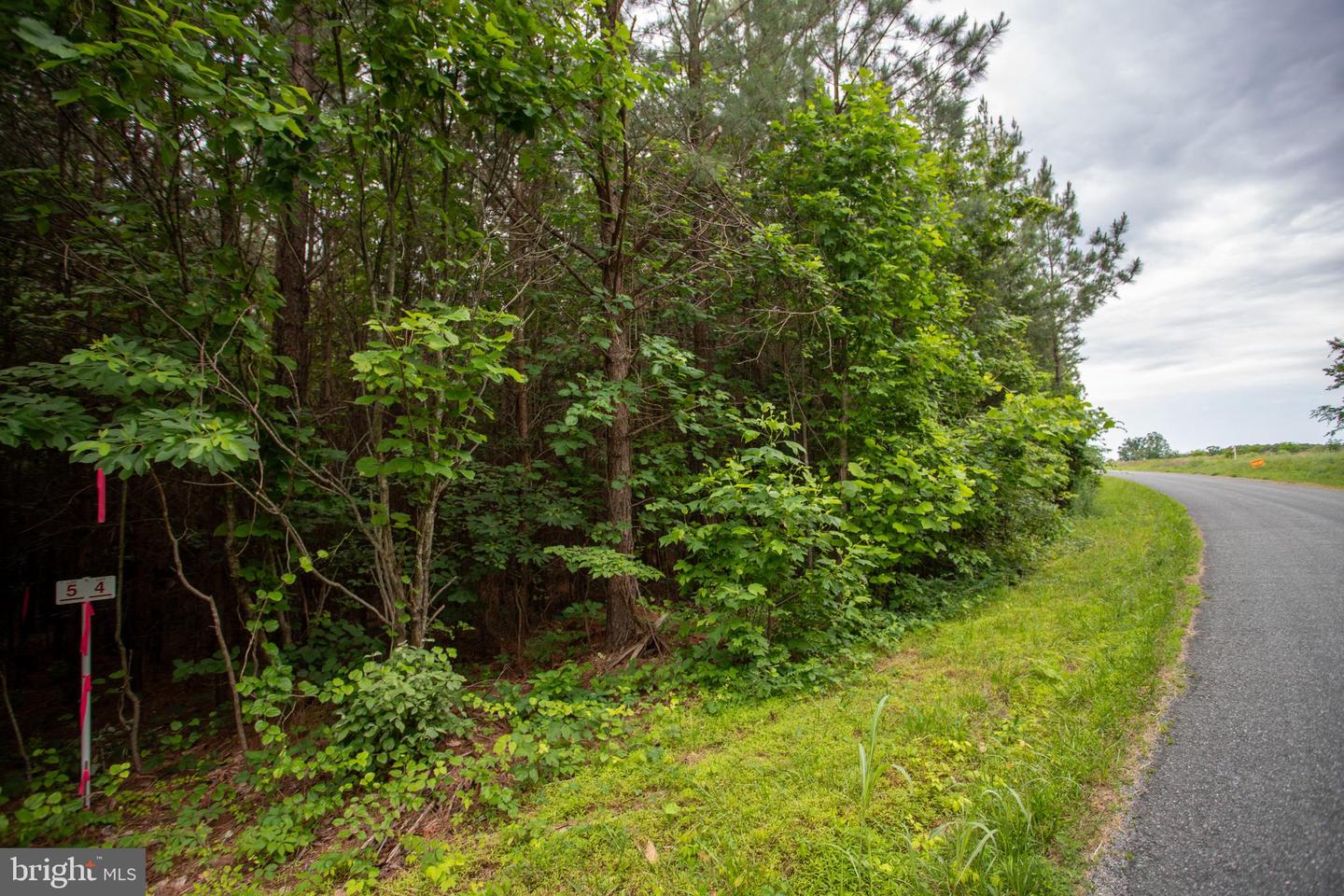 Tbd Trents Cemetery Road #lot 6 Property Photo 10