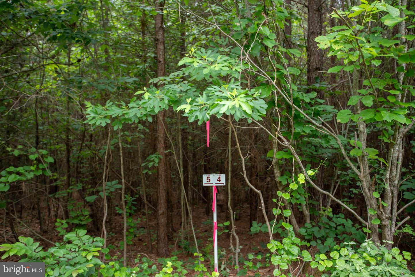 Tbd Trents Cemetery Road #lot 6 Property Photo 11