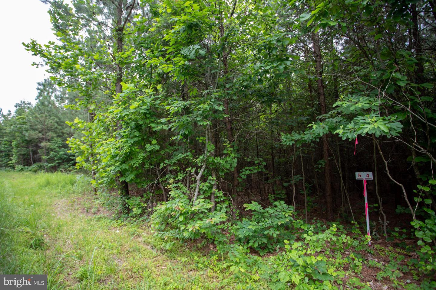 Tbd Trents Cemetery Road #lot 6 Property Photo 12