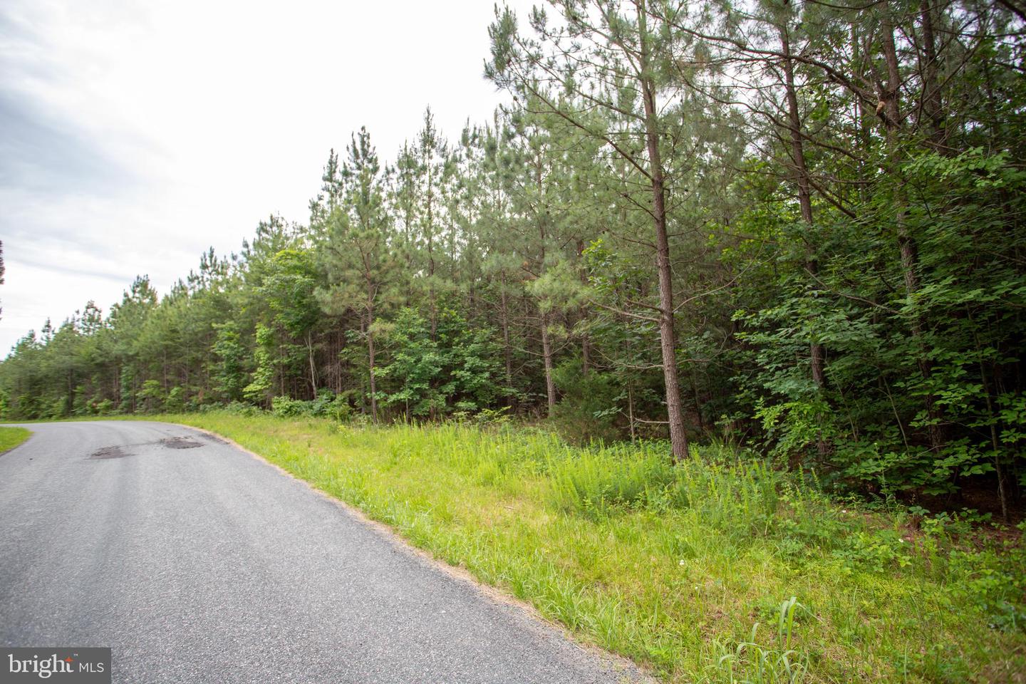 Tbd Trents Cemetery Road #lot 6 Property Photo 13