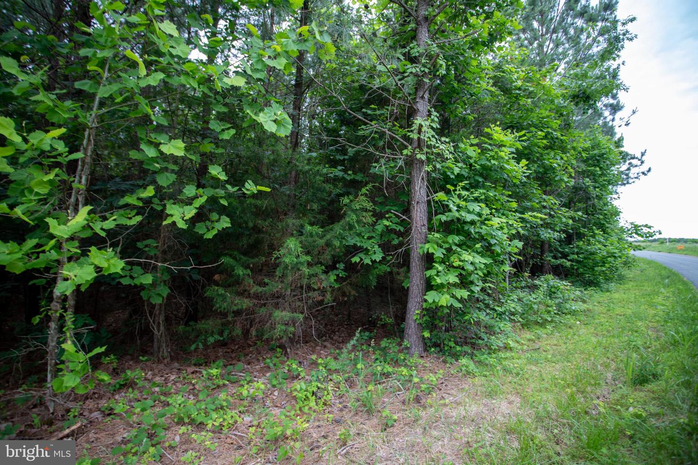 Tbd Trents Cemetery Road #lot 6 Property Photo 14