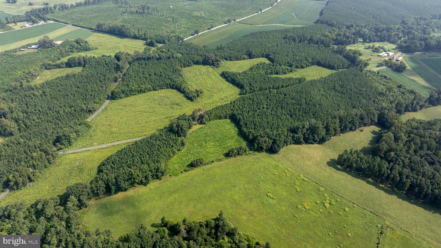 Tbd Trents Cemetery Road #lot 6 Property Photo 16