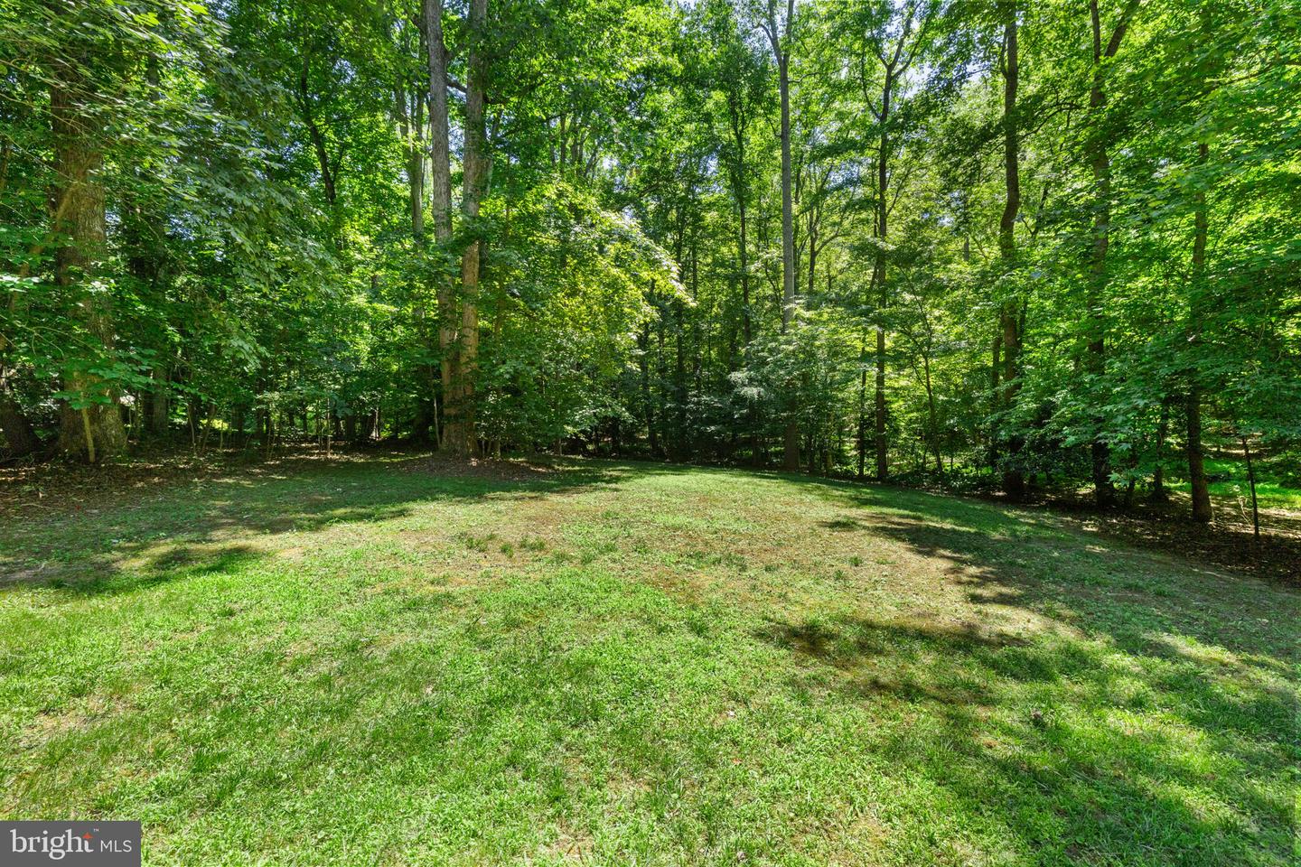 8425 Kintail Dr Property Photo 39