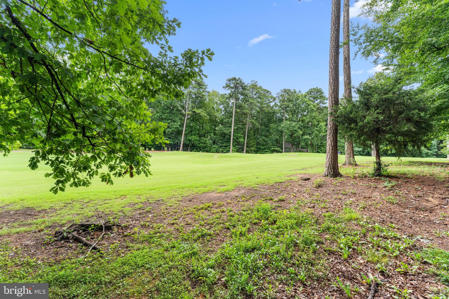 3211 Barnes Spring Ter Property Photo 57