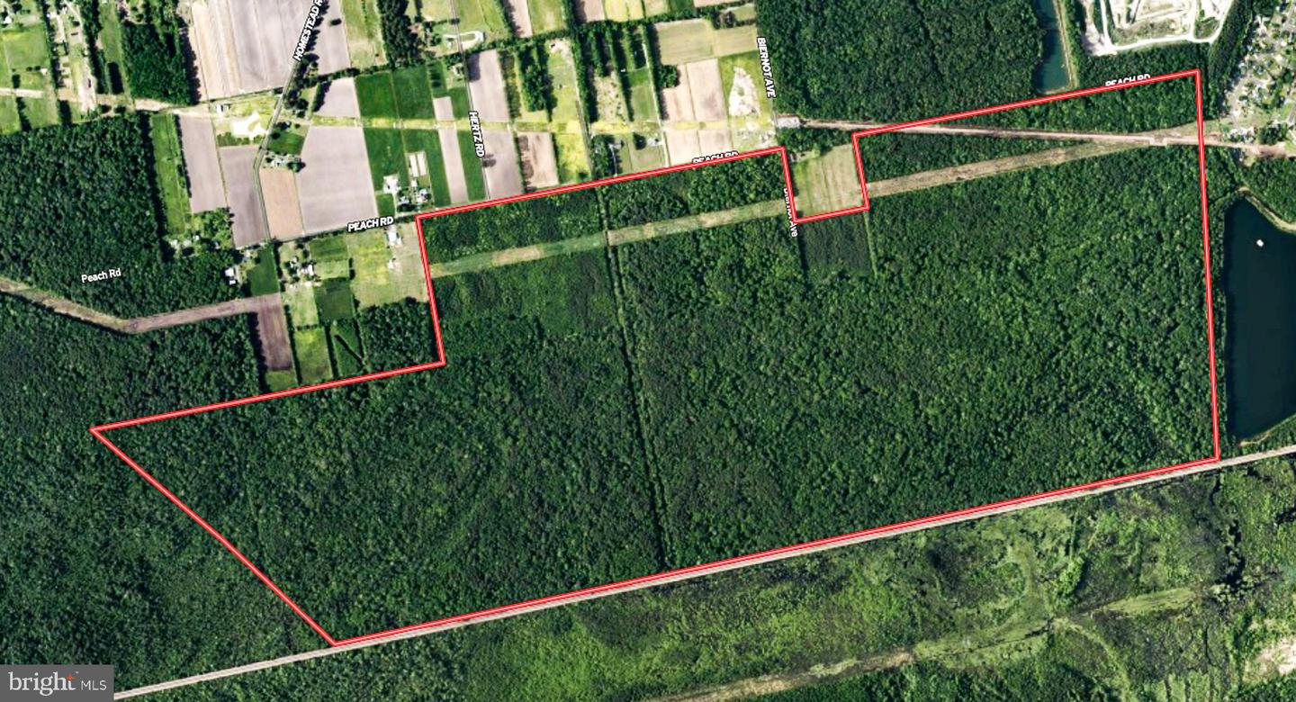 663.8 Acres Peach Rd Property Photo 2