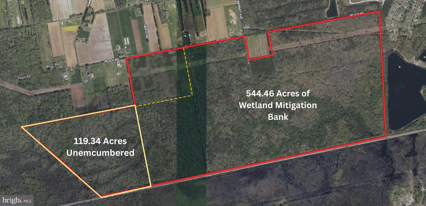 663.8 Acres Peach Rd Property Photo 3