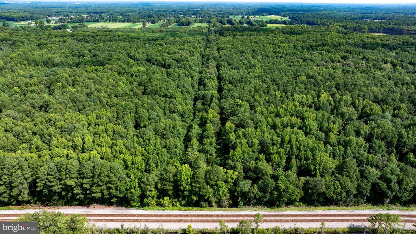 663.8 Acres Peach Rd Property Photo 4