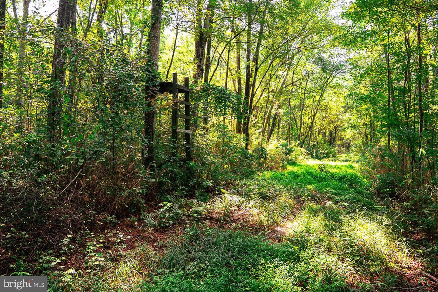 663.8 Acres Peach Rd Property Photo 6