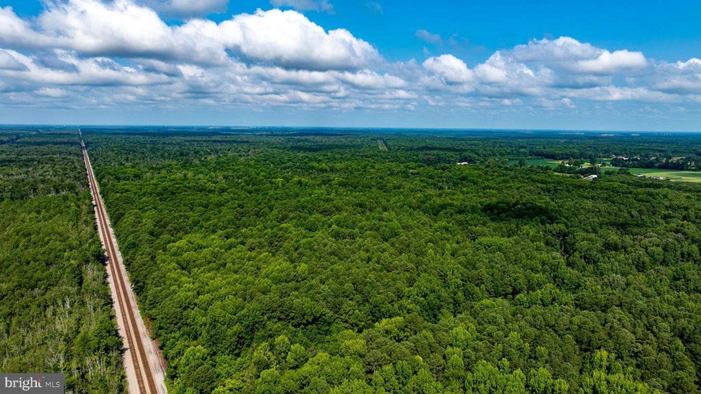 663.8 Acres Peach Rd Property Photo 7