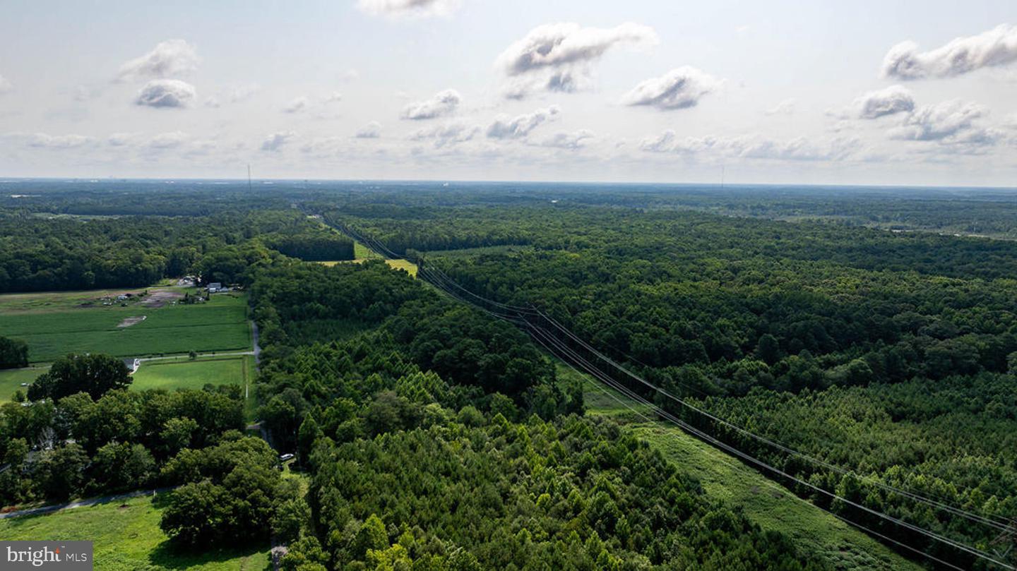 663.8 Acres Peach Rd Property Photo 11