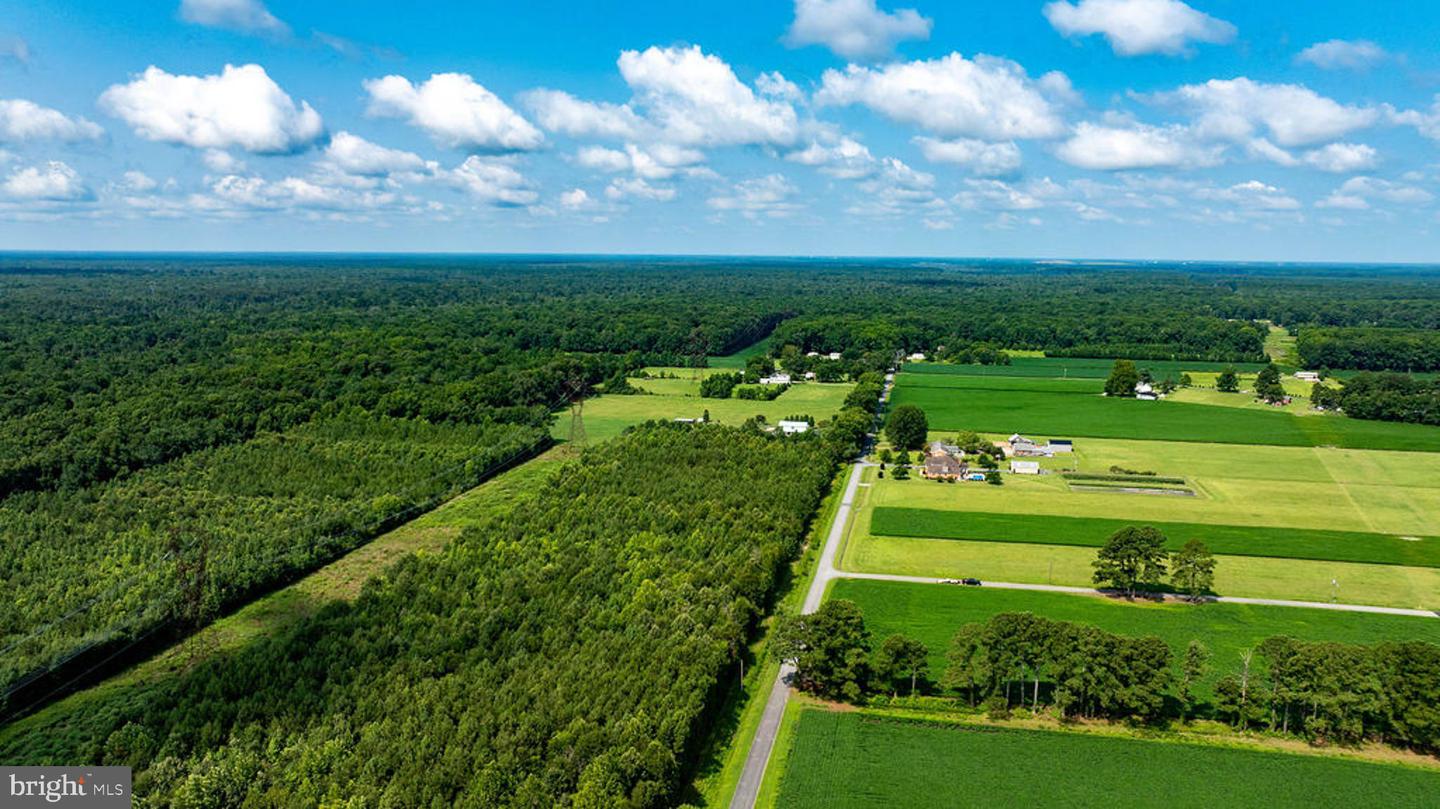663.8 Acres Peach Rd Property Photo 13