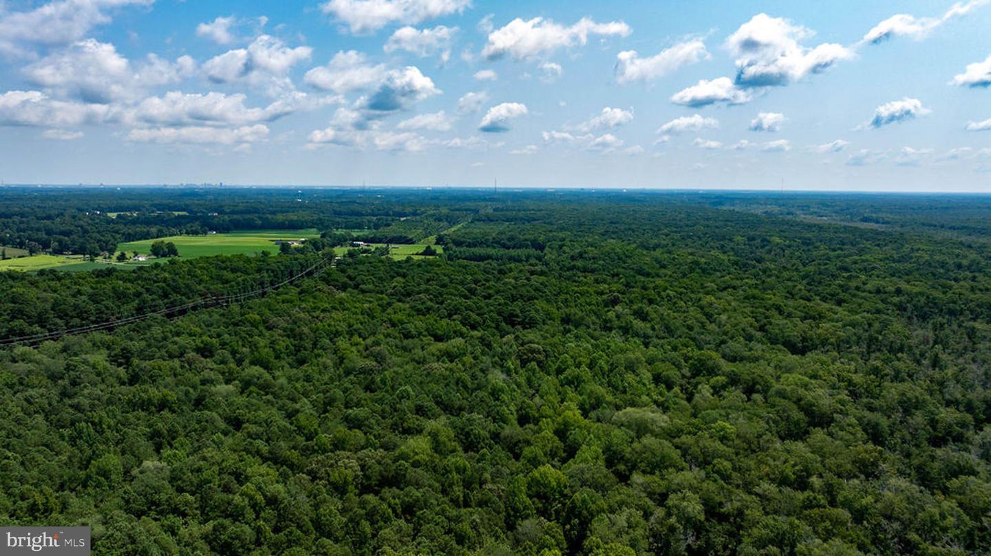 663.8 Acres Peach Rd Property Photo 17