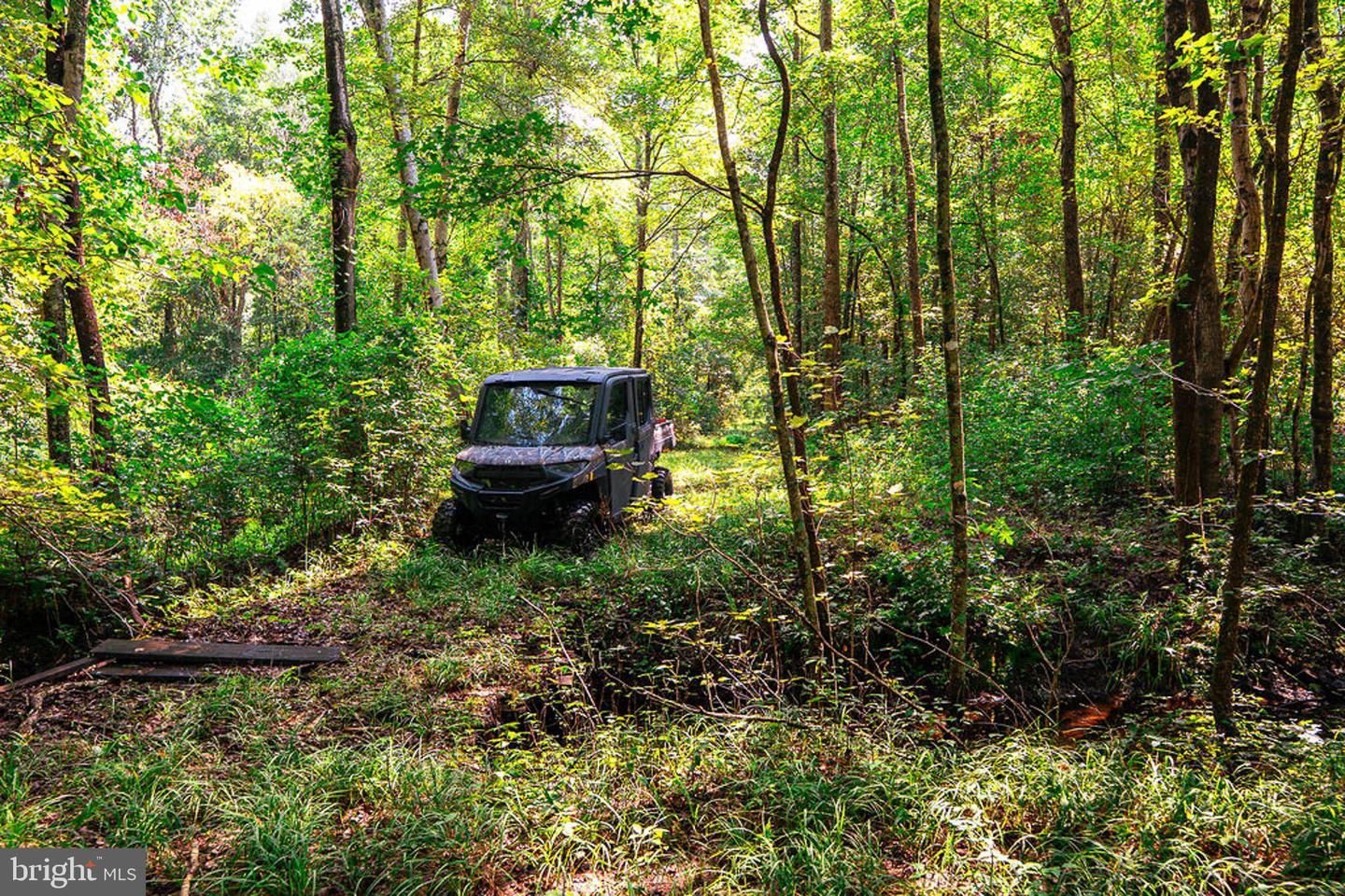 663.8 Acres Peach Rd Property Photo 18