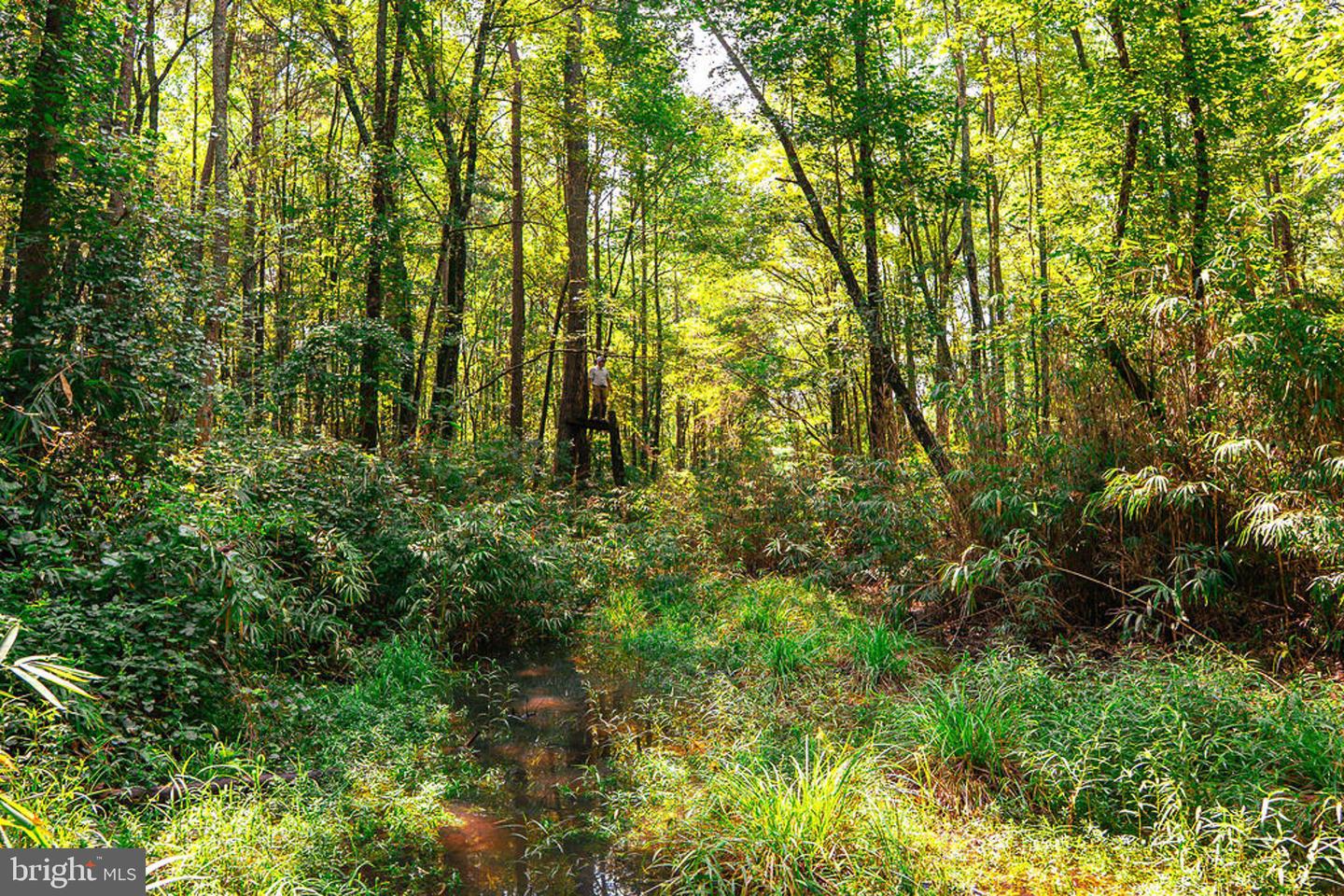 663.8 Acres Peach Rd Property Photo 19