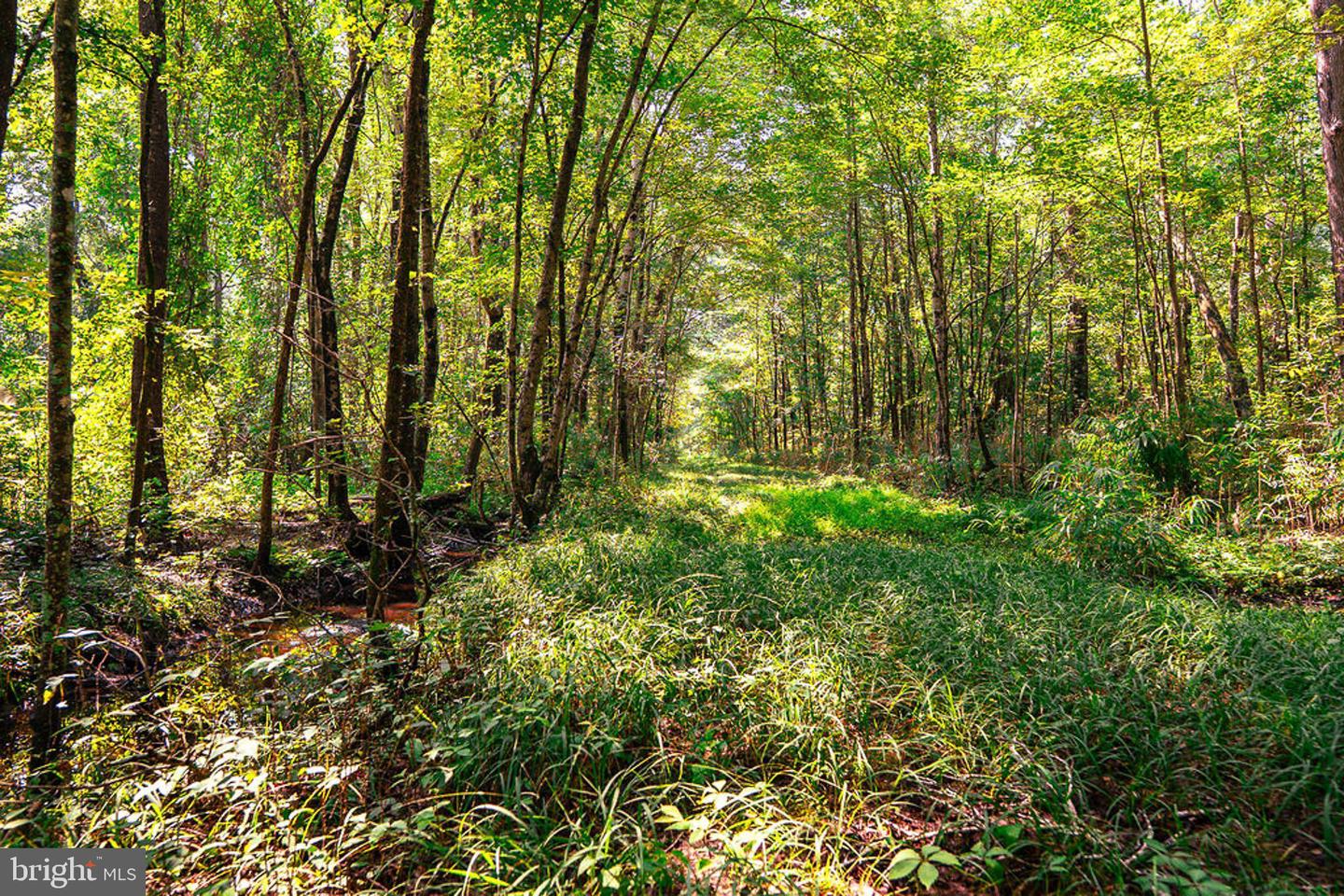 663.8 Acres Peach Rd Property Photo 20