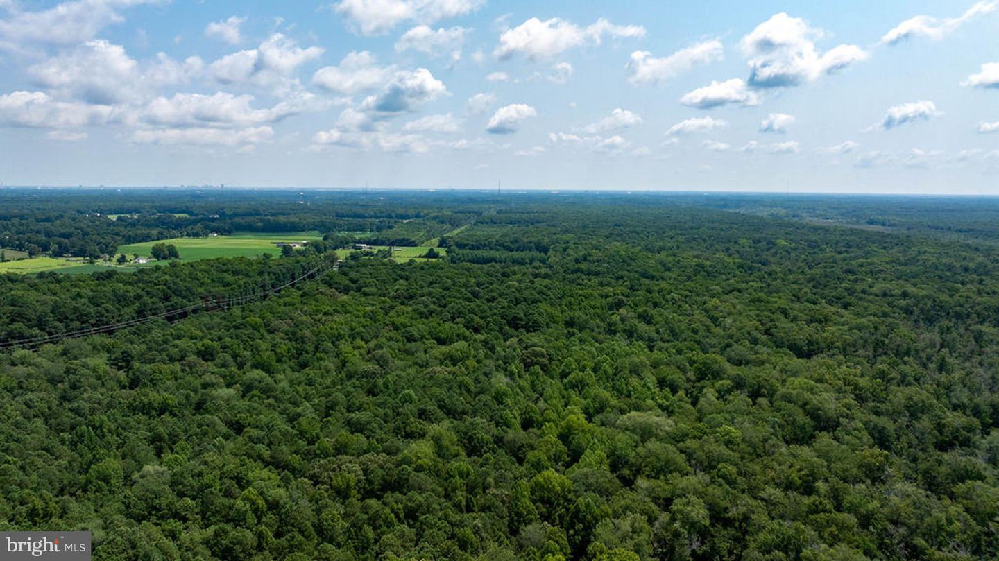 663.8 Acres Peach Rd Property Photo 21