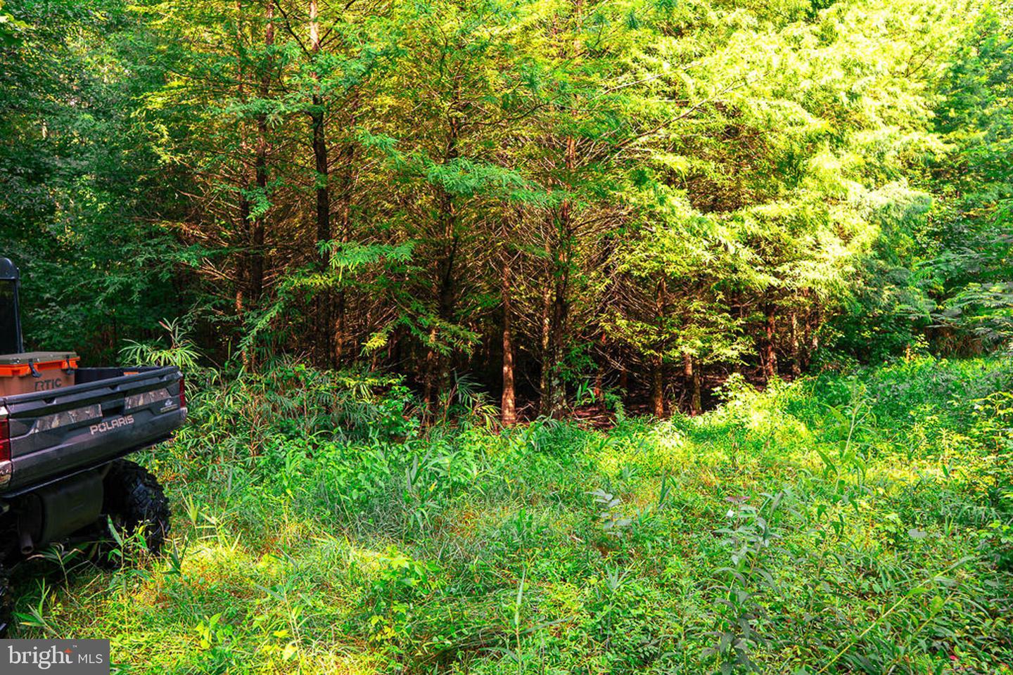 663.8 Acres Peach Rd Property Photo 22
